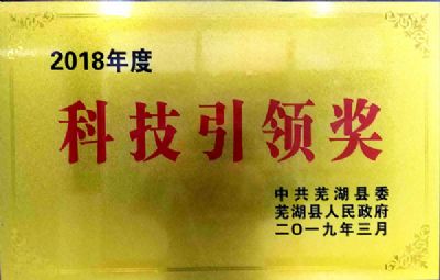 2018年科技引领奖